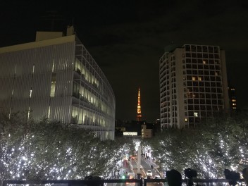 オプションプレゼント終了まであと１５日！！！！！！！！！！